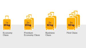 baggage allowed in domestic flights