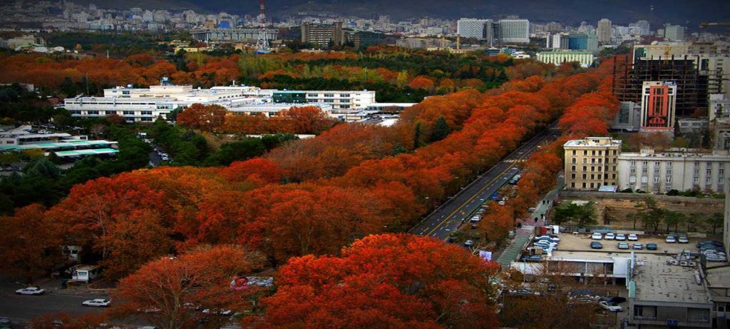 valiasr-street-the-longest-avenue-in-middle-east-tehran-attraction